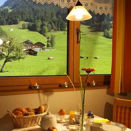 Haus Sonnseite 4* Au (Bregenz)