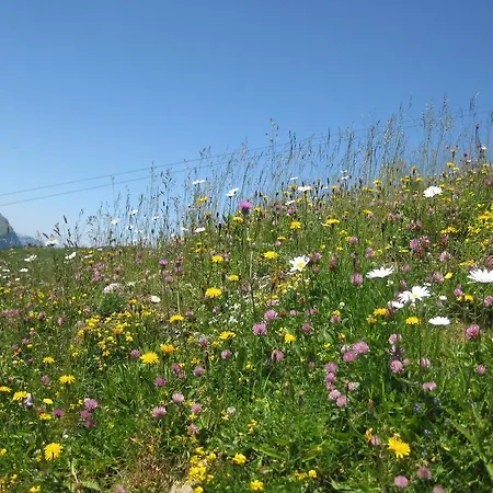 Guest house Haus Sonnseite 4*